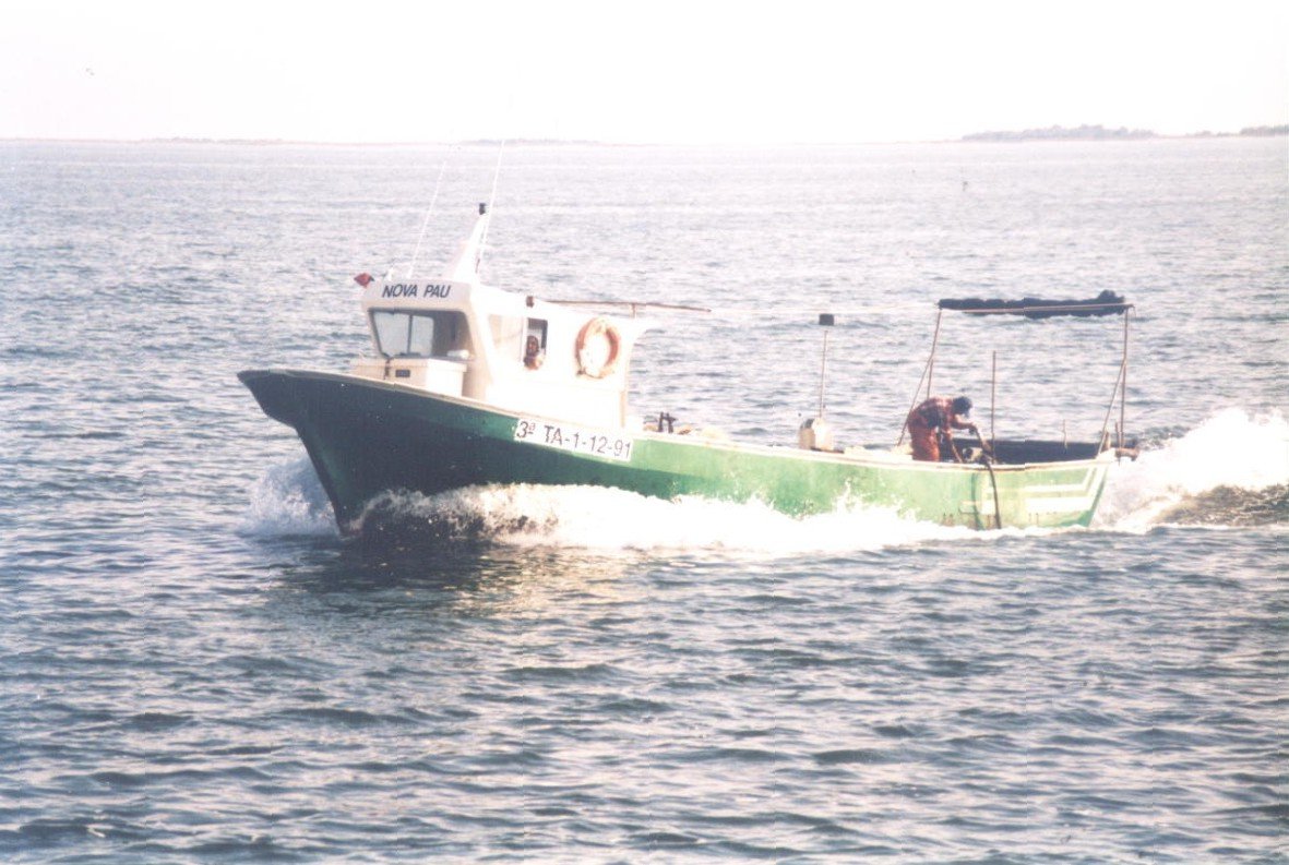 Imagen de Capitol 6 - 1991